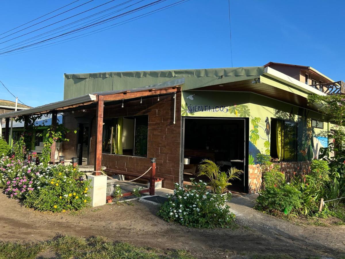 Hostel Tortuguero 7Backpackers Kültér fotó