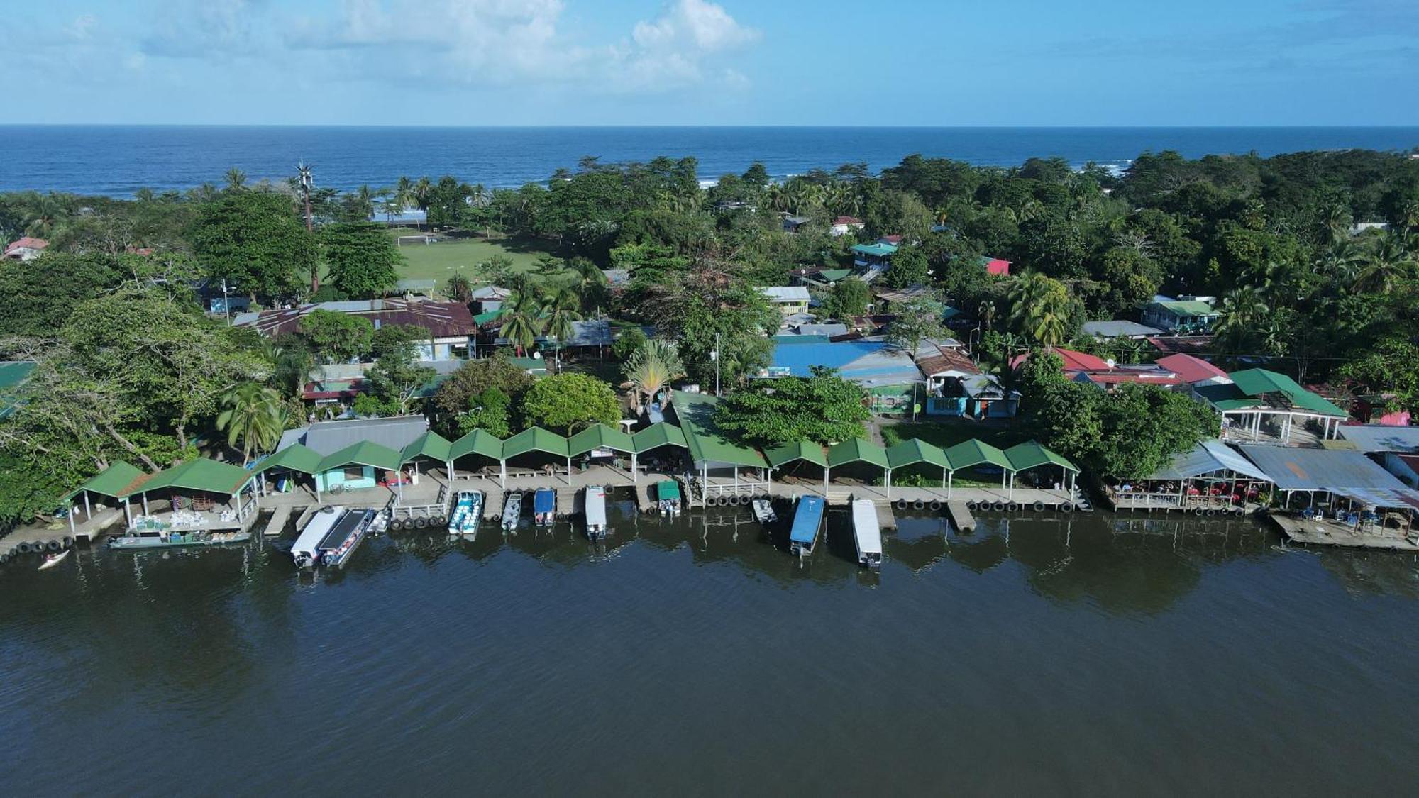 Hostel Tortuguero 7Backpackers Kültér fotó